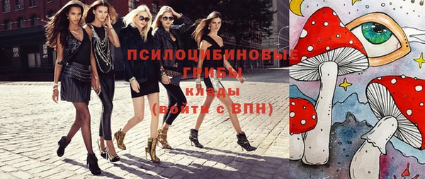 шишки Абаза