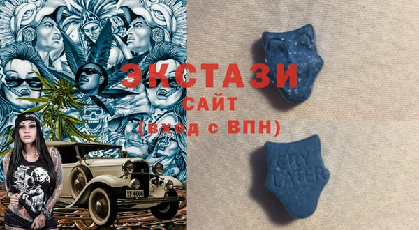 шишки Абаза