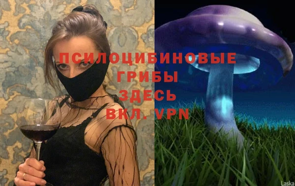 прущие грибы Алексеевка