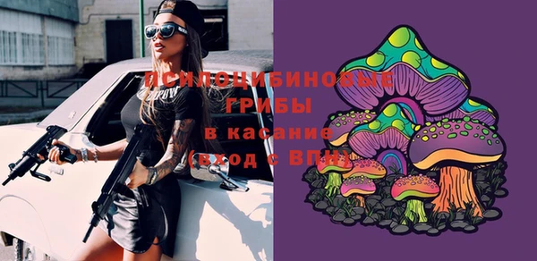 Альфа ПВП Алзамай