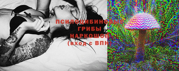Альфа ПВП Алзамай