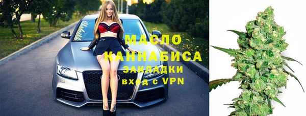 шишки Абаза
