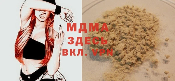 шишки Абаза