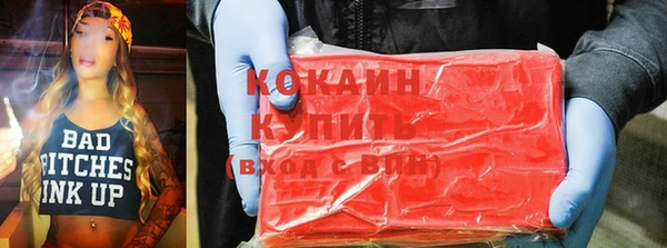 шишки Абаза