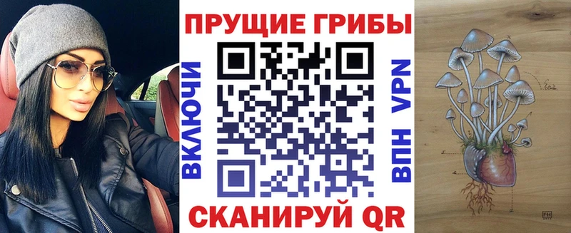Псилоцибиновые грибы Psilocybe  ОМГ ОМГ как зайти  Чердынь  цены наркотик 